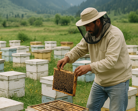Honey collection